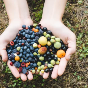 El Festín de la Tierra: Descubre los Tesoros Ocultos de la Comida Ecológica y Local