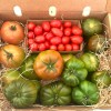 Pack Degustación Tomates de la Axarquía (5Kg)