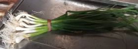 Ajos Tiernos Huerta Alboraya (manojo)