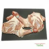 Paleta Lechazo Churro IGP (0.85Kg)