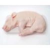 Cochinillo Baztán Navarra de 4 a 5,5 kg