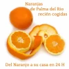 Naranjas Palma del Río (15Kg)