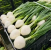 Cebollas Frescas Huerta Huelva (1Kg)