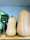 Calabazas Baby Huerta Huelva (1Kg)