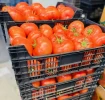 Tomates de los Palacios (500gr)