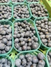 Arándanos Premium de Huelva (125gr)