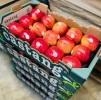 Manzanas Fuji Castang (1Kg)