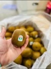 Kiwi Verde (500gr)