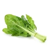 Acelgas Huerto Valenciano (3x 850gr)