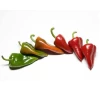 Pimiento Piquillo de Lodosa (1Kg)