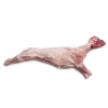 Cabrito Navarro