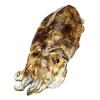 Sepia Salvaje Lonja Navarra (1Kg)