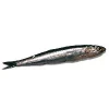 Anchoa Fresca Navarra (500gr)