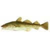 Bacalao Salvaje (500gr)