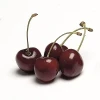 Cerezas Navarras de Echauri (1Kg)