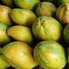 Mini Papayas Eco de la Costa Tropical (500gr)
