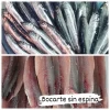Bocarte o Anchoa Lonja del Cantábrico (500gr)