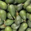 Mini Aguacate ECO Costa Tropical Málaga (500gr)