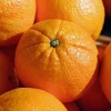 Naranja ECO Costa Tropical Málaga