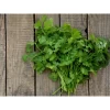 Cilantro Huerta Alboraya (165gr)