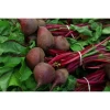 Remolacha Huerta Alboraya (600g. Aprox.)