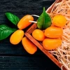 Kumquat Valenciano (500gr)