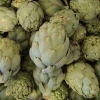 Alcachofa de la Axarquía (500gr)