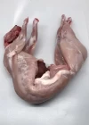 Conejo Gallego Entero (1Kg)