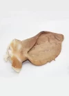 Oreja Salada Cerdo Gallego (1Kg)