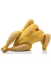 Pollo Campero Gallego Entero (4.5Kg)