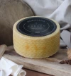 Queso Oveja en Aceite Artesanal La Mancha (1Kg)
