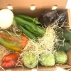 Cesta de Verduras de la Axarquía (5.5Kg)