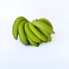 Plátano ECO Málagueño (500gr)