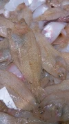 Peludas Lonja del Levante (500gr)