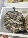 Almejas Chirla Lonja de Málaga (500gr)