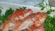Cabracho Lonja de Málaga (Pieza de 500gr)