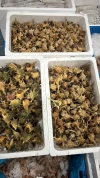 Cañaillas Levante (500gr)