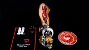 Jamón Ibérico Cebo Montánchez
