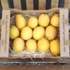 Limón Costa Tropical Málaga (500gr)