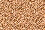 Garbanzo Pedrosillano (500gr)