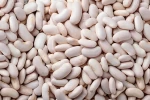 Alubia Judión (500gr)